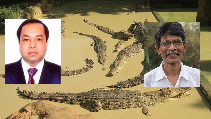 পি কে হালদারের দখলে মুশতাকের সেই কুমির খামার